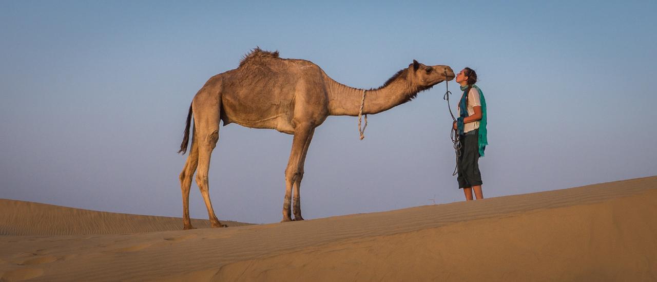Tripli Hotels Prithvi Palace Jaisalmer Zewnętrze zdjęcie